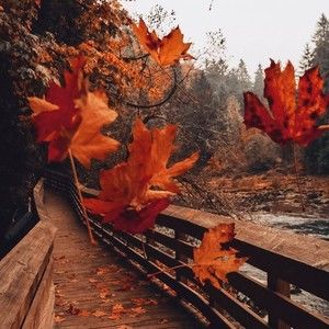 Meet your Posher, Audrey